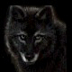 Lonewolf YYC's Avatar